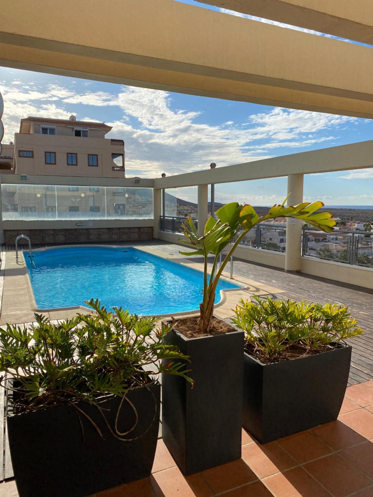 פאלם-מאר La Arenita - Oceanview Apartment מראה חיצוני תמונה